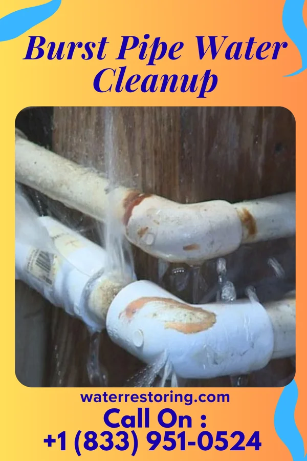 Burst Pipe Water Cleanup in Gauley Bridge, WV
