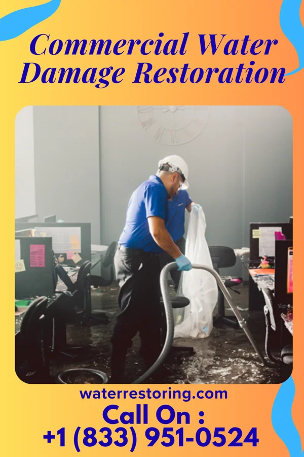 Commercial Water Damage Restoration in Gauley Bridge, WV