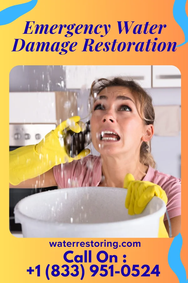 Emergency Water Damage Restoration in Gauley Bridge, WV
