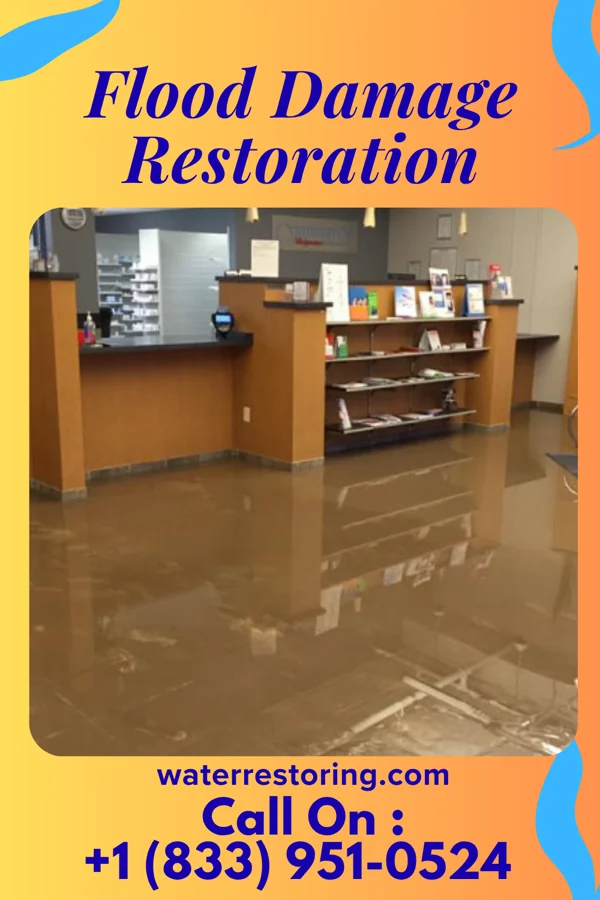 Flood Damage Restoration in Gauley Bridge, WV