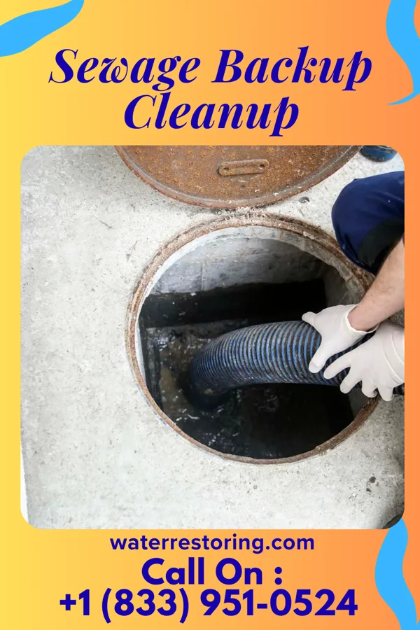 Sewage Backup Cleanup in Gauley Bridge, WV