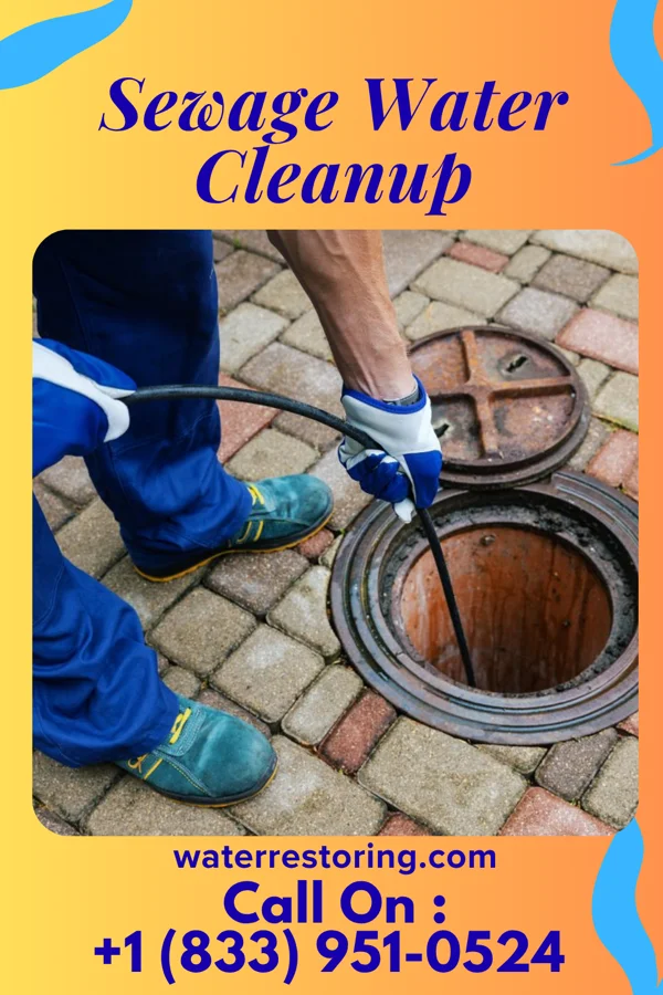 Sewage Water Cleanup in Gauley Bridge, WV